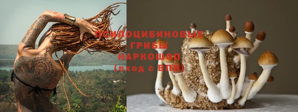 a pvp Армянск