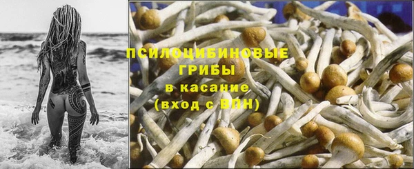 круглые Арсеньев