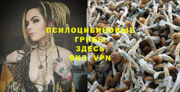 круглые Арсеньев