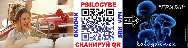 купить наркоту  Артёмовск  Псилоцибиновые грибы Magic Shrooms 